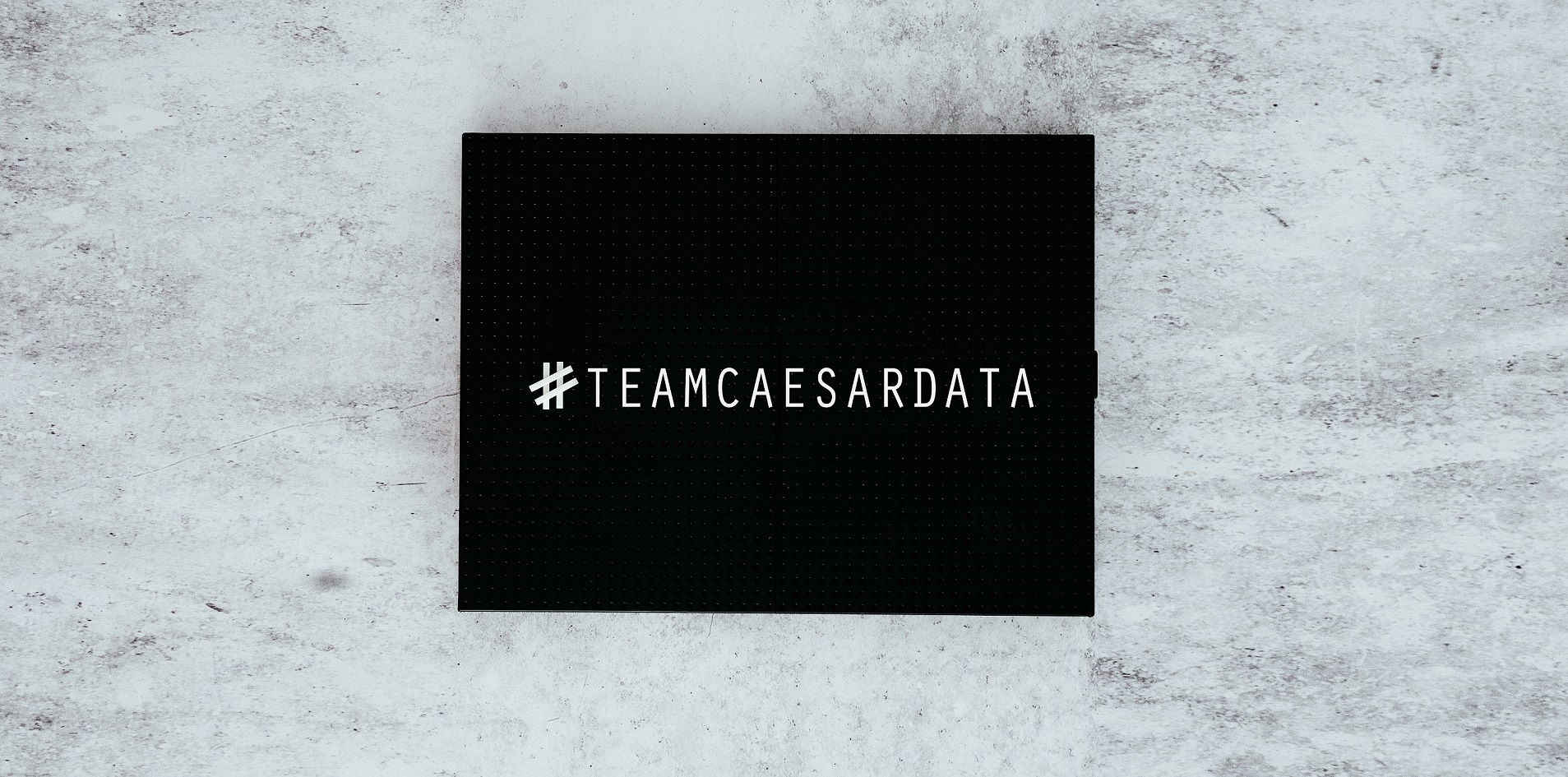 Team caesar data & software - caesar data & software - Online-Buchungssystem, IBE, Homepage-Buchbarkeit, Web Design